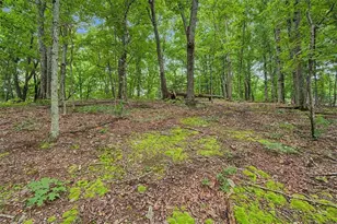 1230 Redbud Dr, Marietta, GA 30062 - Photo 30