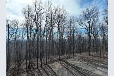 256 Blood Root Trail, Ellijay, GA 30536 - Photo 28