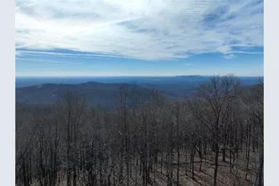 256 Blood Root Trail, Ellijay, GA 30536 - Photo 26