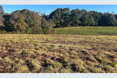 0 Old Columbus Road, Bowdon, GA 30108 - Photo 2