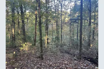 0 Old Columbus Road, Bowdon, GA 30108 - Photo 10