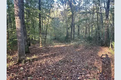 0 Old Columbus Road, Bowdon, GA 30108 - Photo 22