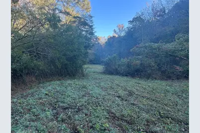 0 Old Columbus Road, Bowdon, GA 30108 - Photo 12