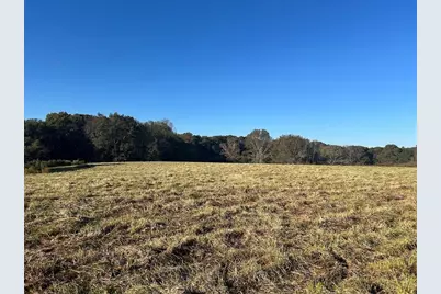 0 Old Columbus Road, Bowdon, GA 30108 - Photo 1