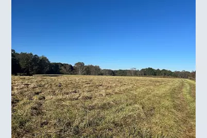 0 Old Columbus Road, Bowdon, GA 30108 - Photo 6