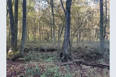 0 Old Columbus Road, Bowdon, GA 30108 - Photo 20