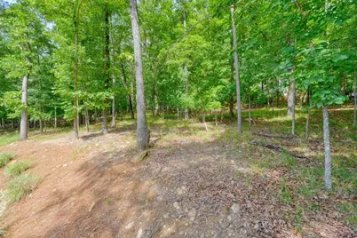 110 Cherry Court, Waleska, GA 30183 - Photo 50