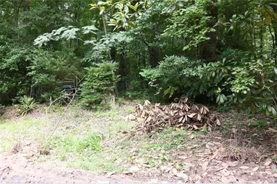 5435 Hearn Road, Ellenwood, GA 30294 - Photo 12