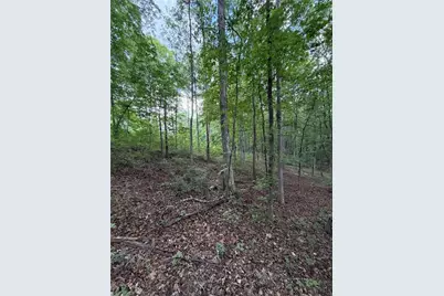 000 Serenity, Cataula, GA 31808 - Photo 20