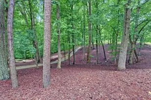 1195 Bethany Rd, Jasper, GA 30143 - Photo 58