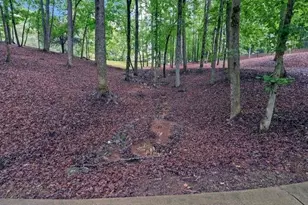 1195 Bethany Rd, Jasper, GA 30143 - Photo 60