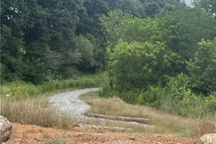 8855 McKaskey Ln, Ball Ground, GA 30107 - Photo 16