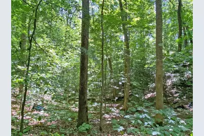 2.4Ac Old River Road, Dahlonega, GA 30533 - Photo 6