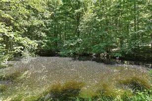 125 King Bird Dr, Cleveland, GA 30528 - Photo 6