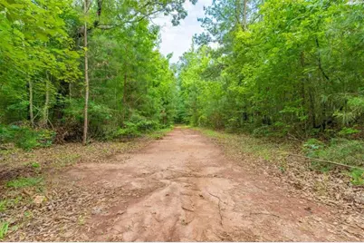 54 Davis Carter Road, Monticello, GA 31064 - Photo 58