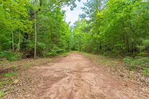 54 Davis Carter Rd, Monticello, GA 31064 - Photo 58