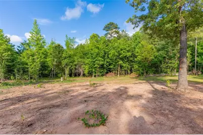 54 Davis Carter Road, Monticello, GA 31064 - Photo 38