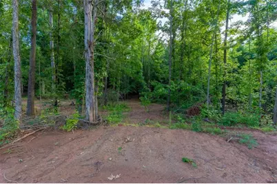 54 Davis Carter Road, Monticello, GA 31064 - Photo 40