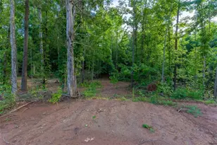 54 Davis Carter Rd, Monticello, GA 31064 - Photo 40