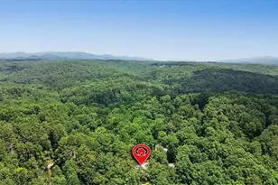 617 Zenith Trail, Ellijay, GA 30540 - Photo 56