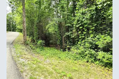 330 Adair Drive, Ranger, GA 30734 - Photo 6