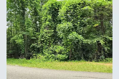 330 Adair Drive, Ranger, GA 30734 - Photo 2
