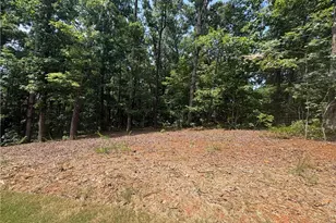 4762 Conns Creek Rd, Ball Ground, GA 30107 - Photo 36