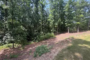 4762 Conns Creek Rd, Ball Ground, GA 30107 - Photo 38
