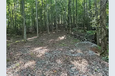5 Lots Clearview Drive, Cleveland, GA 30528 - Photo 4