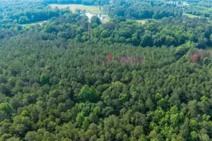 Lot 5 Hwy 136 Connector, Talking Rock, GA 30175 - Photo 6