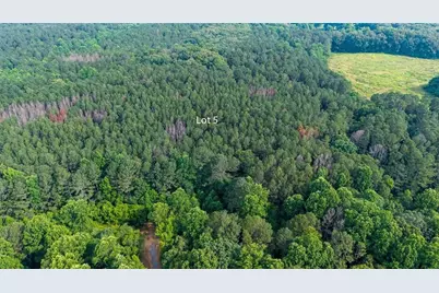 Lot 5 Highway 136 Connector, Talking Rock, GA 30175 - Photo 6