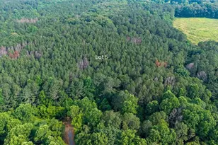 Lot 5 Hwy 136 Connector, Talking Rock, GA 30175 - Photo 6