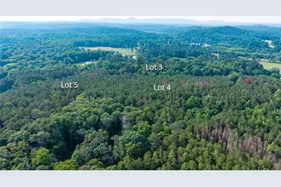 Lot 5 Highway 136 Connector, Talking Rock, GA 30175 - Photo 14