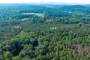 Lot 5 Hwy 136 Connector, Talking Rock, GA 30175 - Photo 14