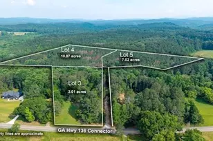 Lot 5 Hwy 136 Connector, Talking Rock, GA 30175 - Photo 4