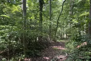 5585 Browns Bridge Rd, Cumming, GA 30041 - Photo 34