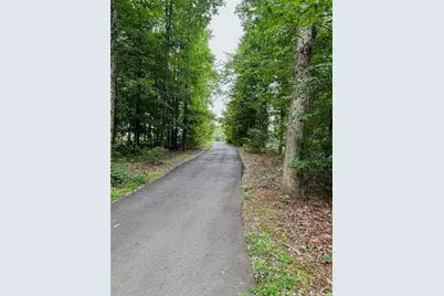 1250 Blue Ridge Overlook, Dawsonville, GA 30534 - Photo 32