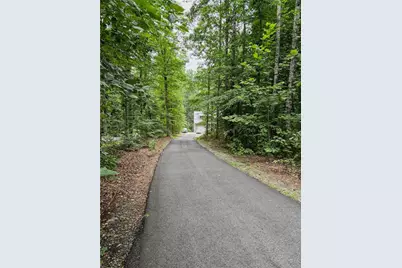 1250 Blue Ridge Overlook, Dawsonville, GA 30534 - Photo 26