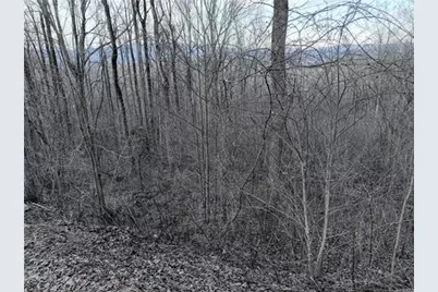 280 Andes Ridge, Ellijay, GA 30536 - Photo 42