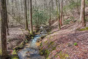 641 Bryant Farm Ln, Ellijay, GA 30540 - Photo 2