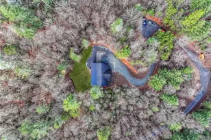 641 Bryant Farm Ln, Ellijay, GA 30540 - Photo 62