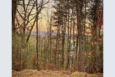 372 Gabrels Drive, Clarkesville, GA 30523 - Photo 28