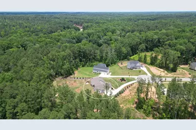 164 Brinley Drive, Sharpsburg, GA 30277 - Photo 66