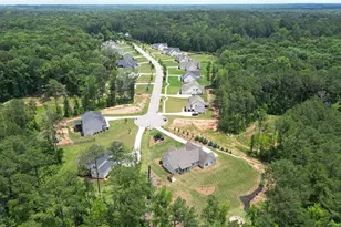 164 Brinley Dr, Sharpsburg, GA 30277 - Photo 64