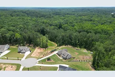 164 Brinley Drive, Sharpsburg, GA 30277 - Photo 68