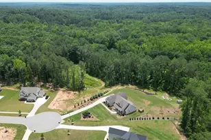 164 Brinley Dr, Sharpsburg, GA 30277 - Photo 68