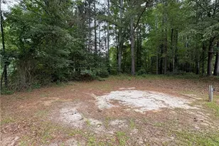 30 Stoneview Terrace, Covington, GA 30016 - Photo 18