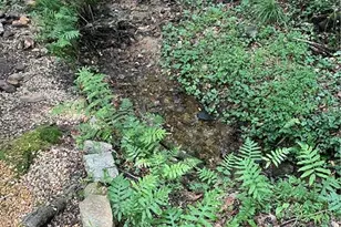 1915 Habersham Trce, Cumming, GA 30041 - Photo 34