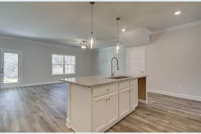 3780 Ivy Cottage Drive, Snellville, GA 30039 - Photo 6