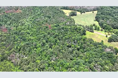 00001 Melear Road, Bowdon, GA 30108 - Photo 24